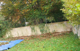 Abattage de haies 